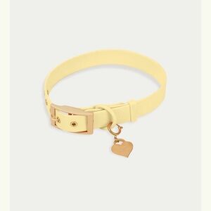 Butter Yellow Dog Collar